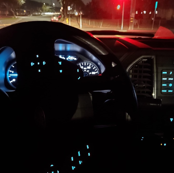 Meet your Posher, Alex - Picture 1 of 1